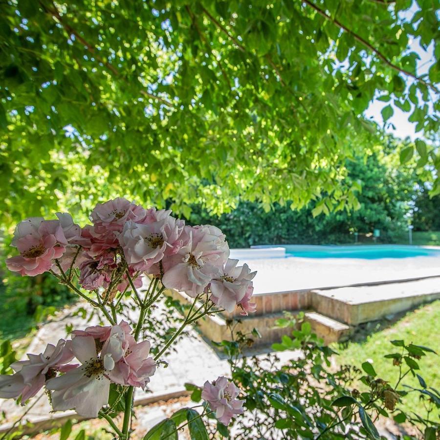 Appartamento Borgo del Nibbio Porto Levante Esterno foto