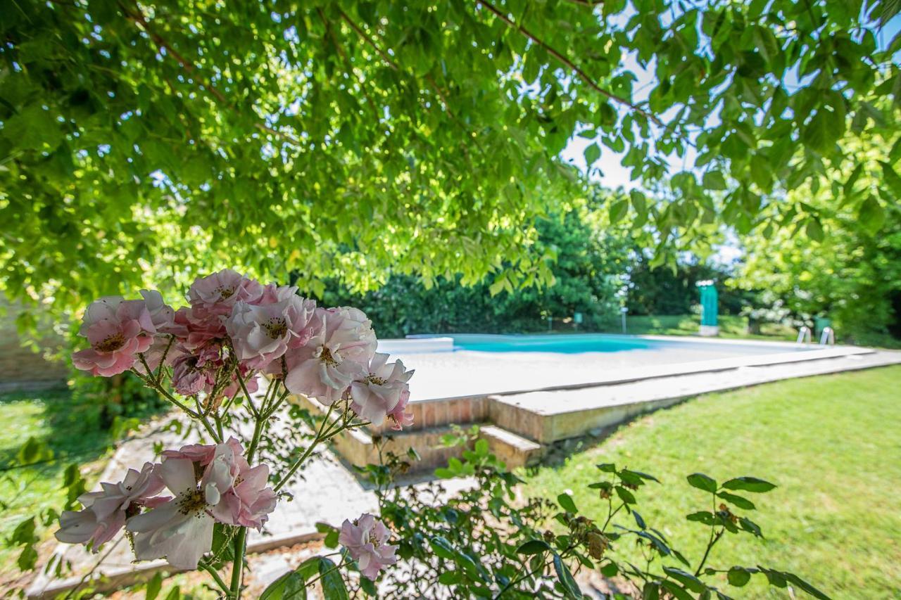 Appartamento Borgo del Nibbio Porto Levante Esterno foto